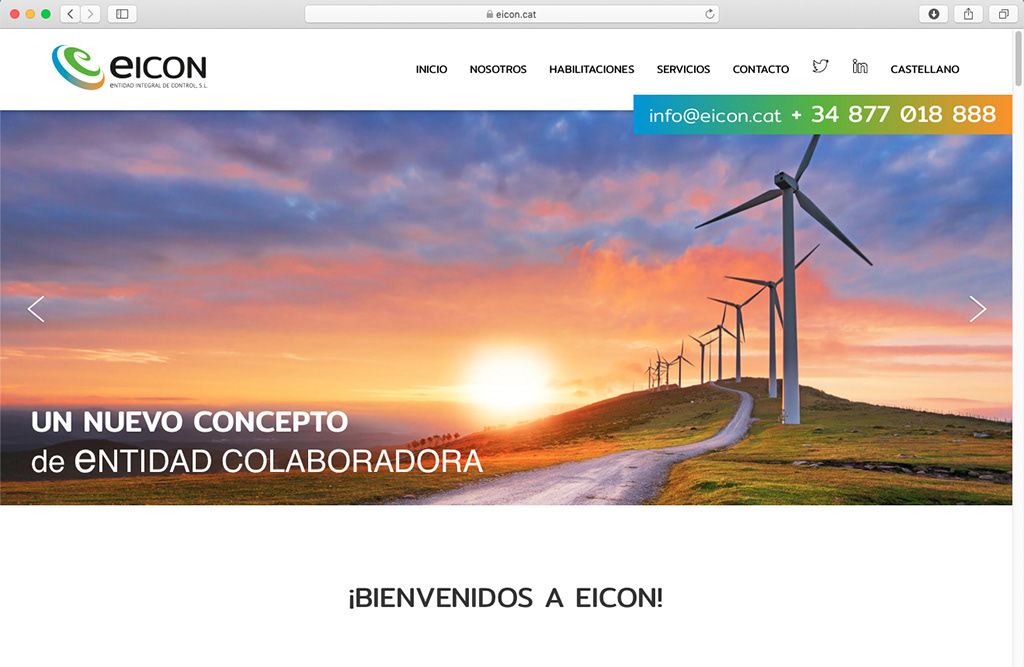 Diseño y Programación Web Eicon