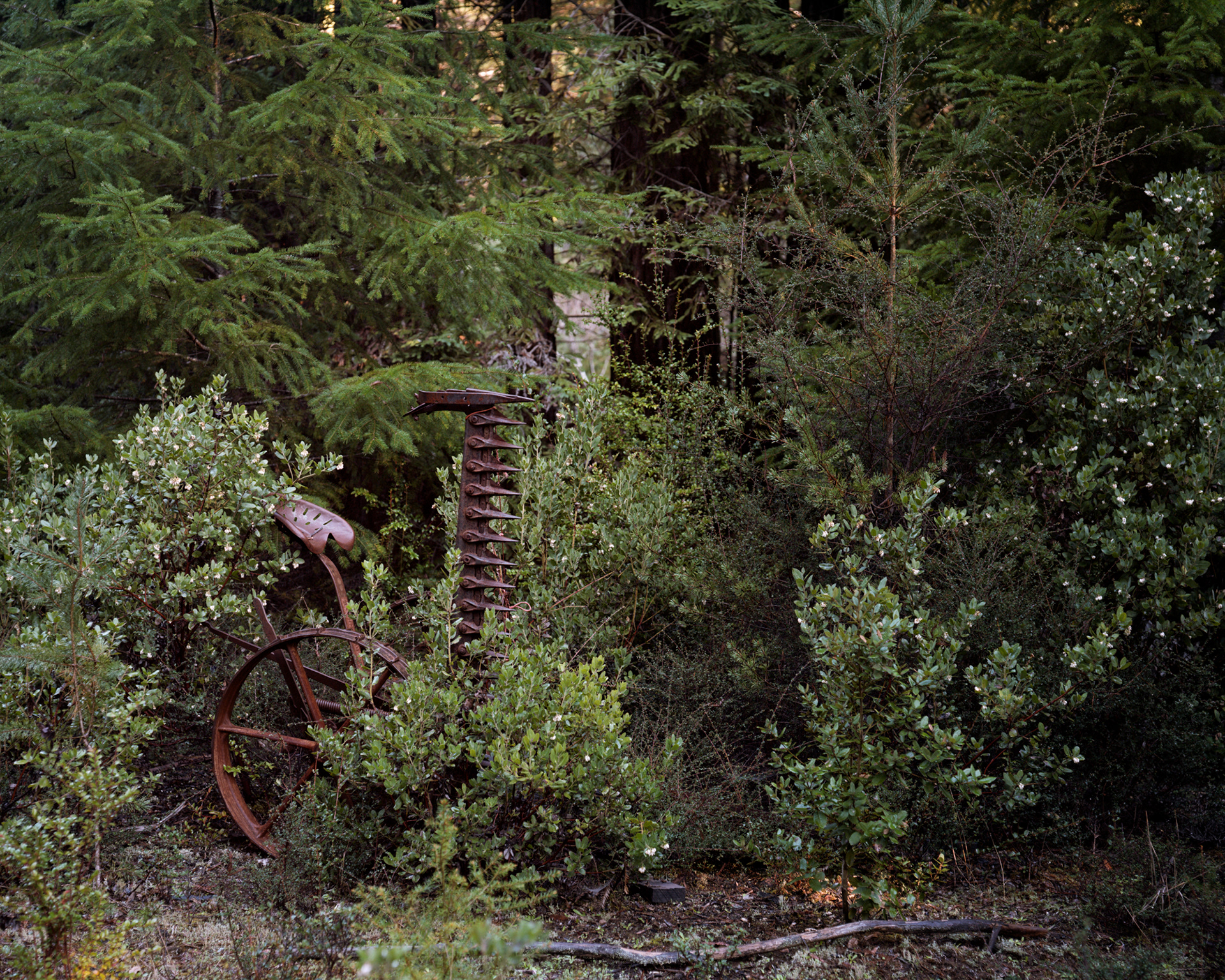 Forgetting Agriculture, Bello Ranch, California