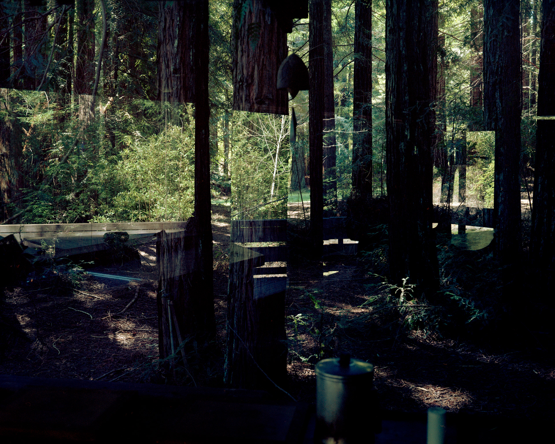View From Kitchen, Bello Ranch, California