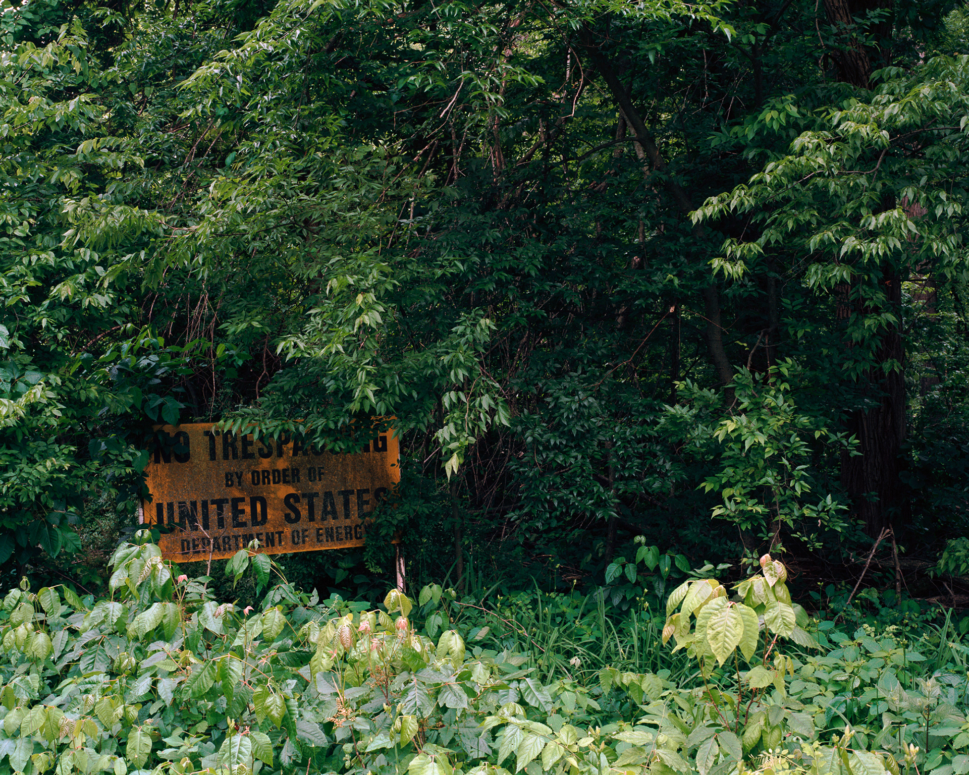Old Order, WMA, Kentucky