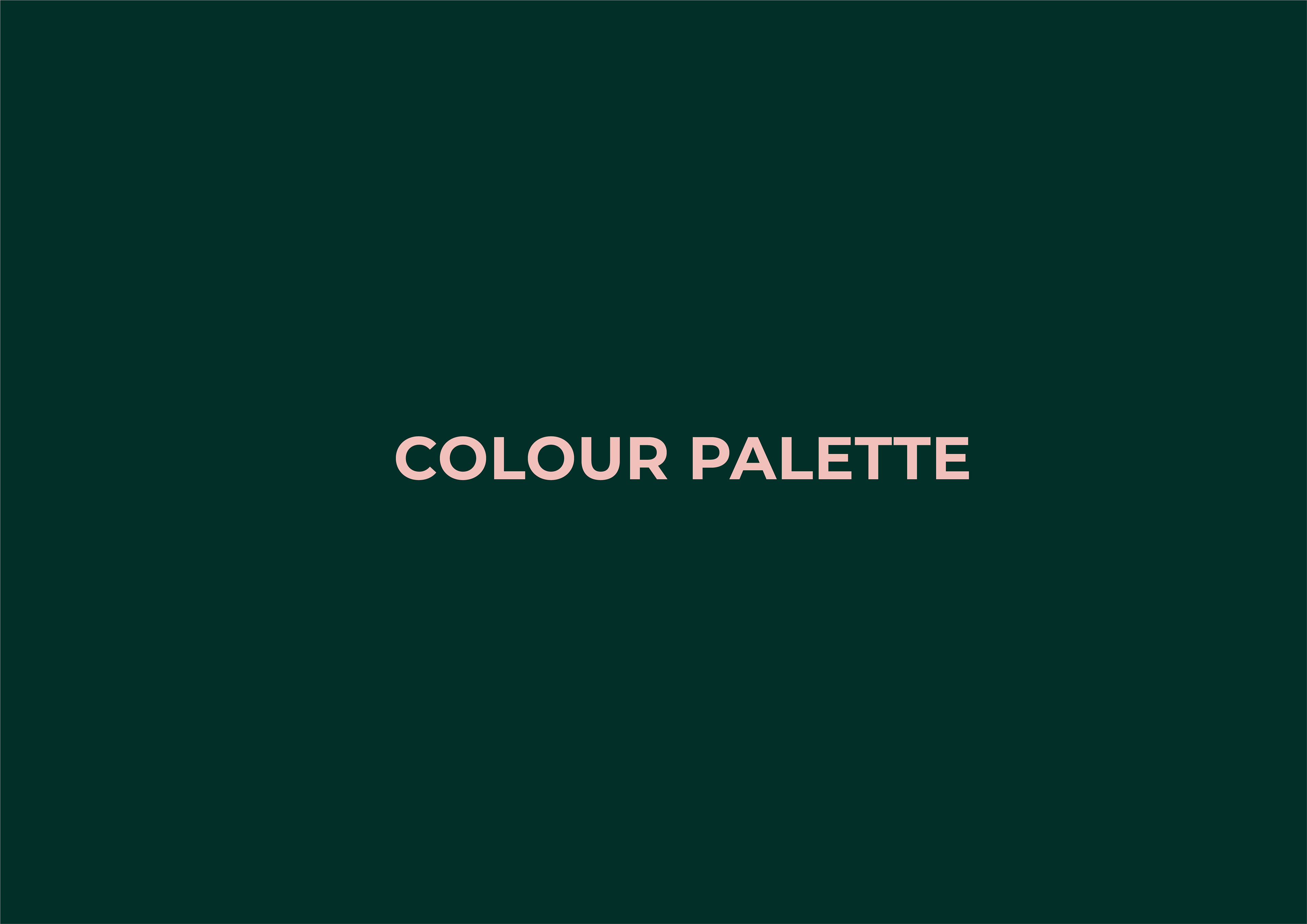 colour palette of brand guidelines for now and then by freelance graphic designer melissa carne