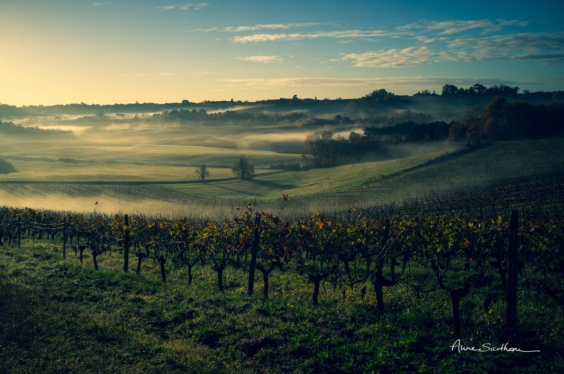 Brume de Gironde