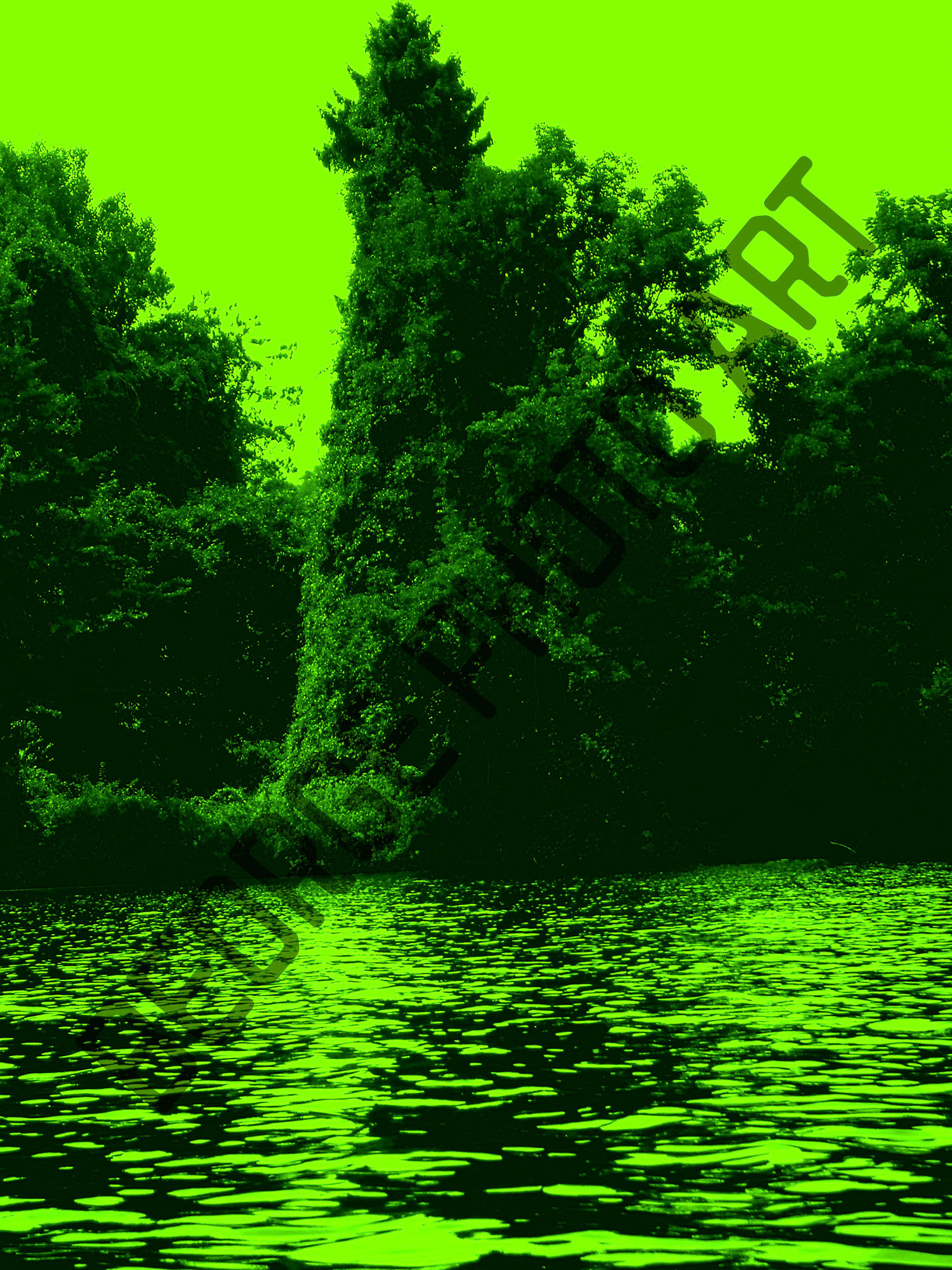 The Day IT Came From The Lake