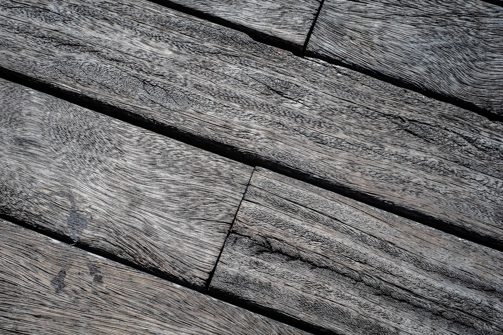 Lifestyle Photography