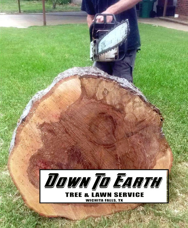 Facebook Campaign | Down To Earth Tree Services