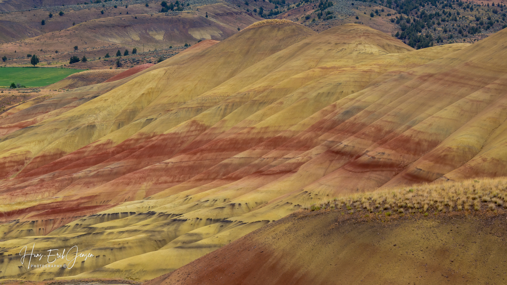 Painted Hill 10