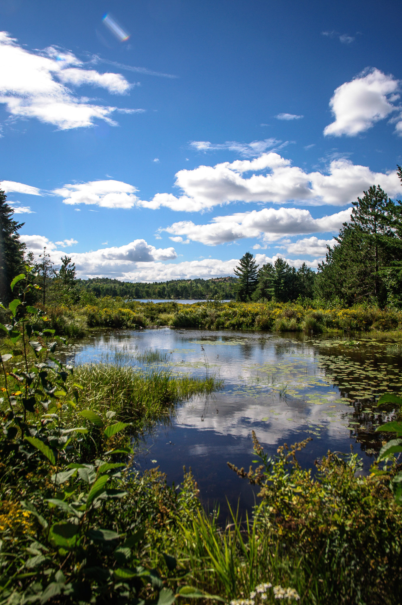 Looking out towards Kasten Lake from Kasten Lake Road