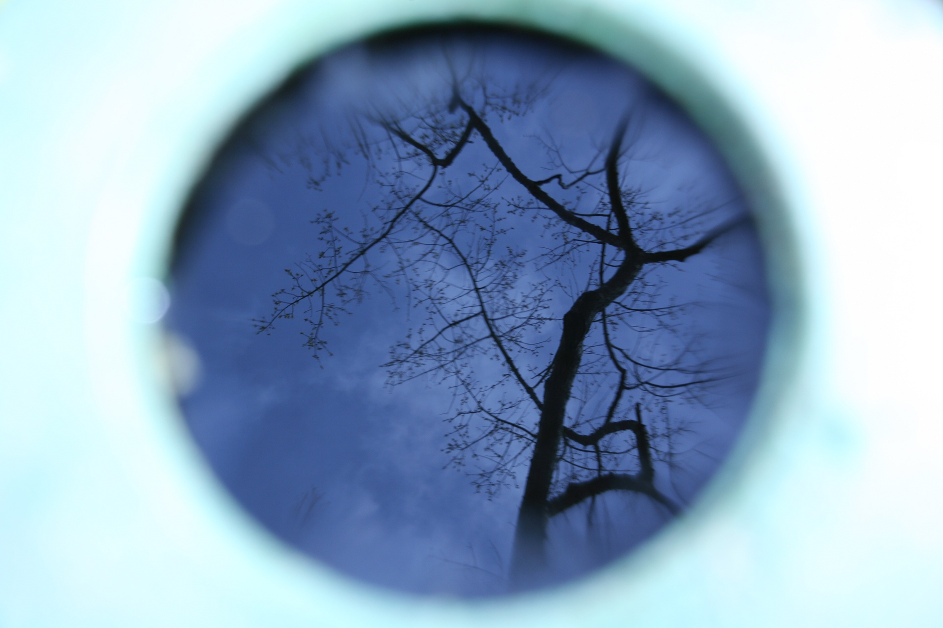 Digital Photography, training with Elizabeth Galecke