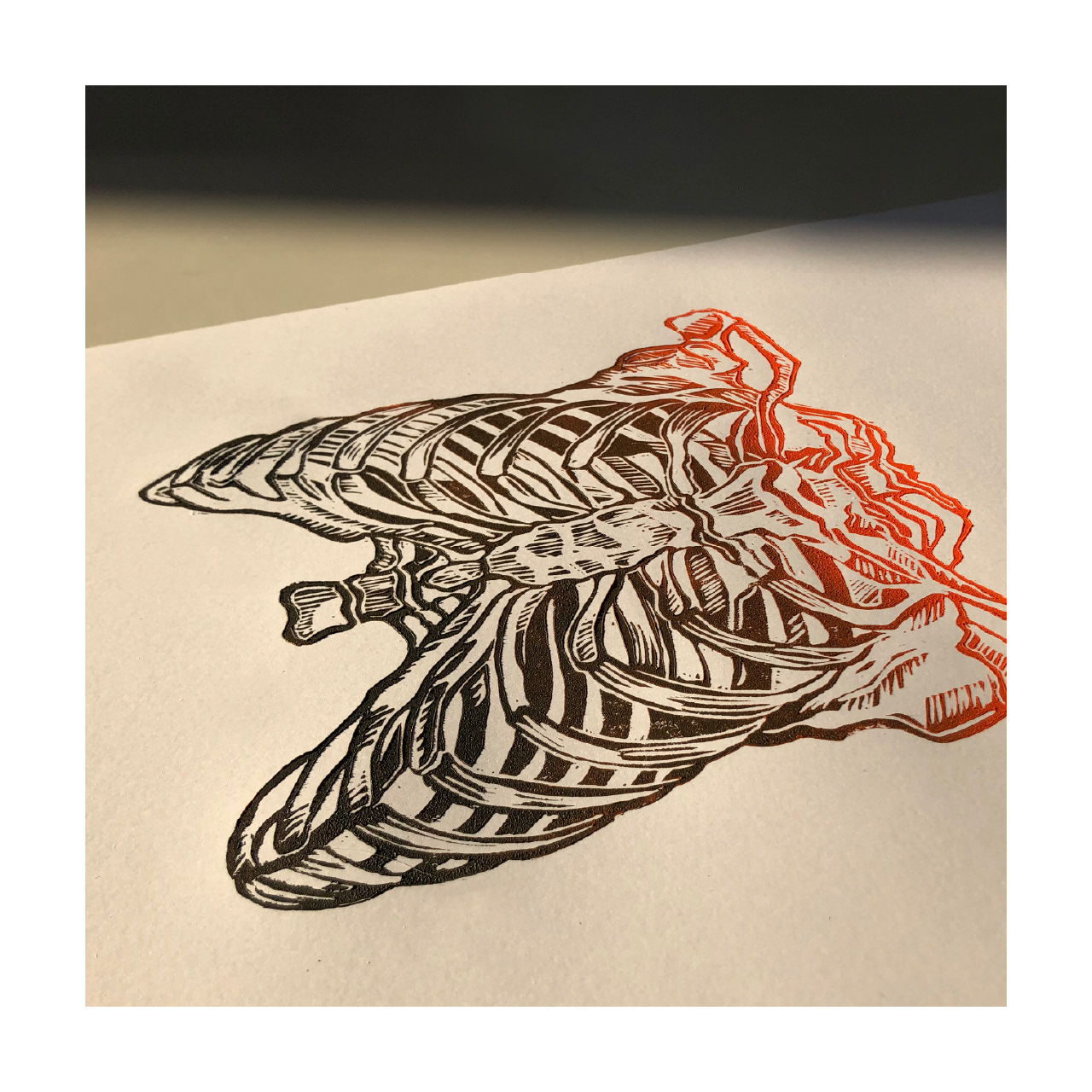 Lorenn Furic, 23, Illustration