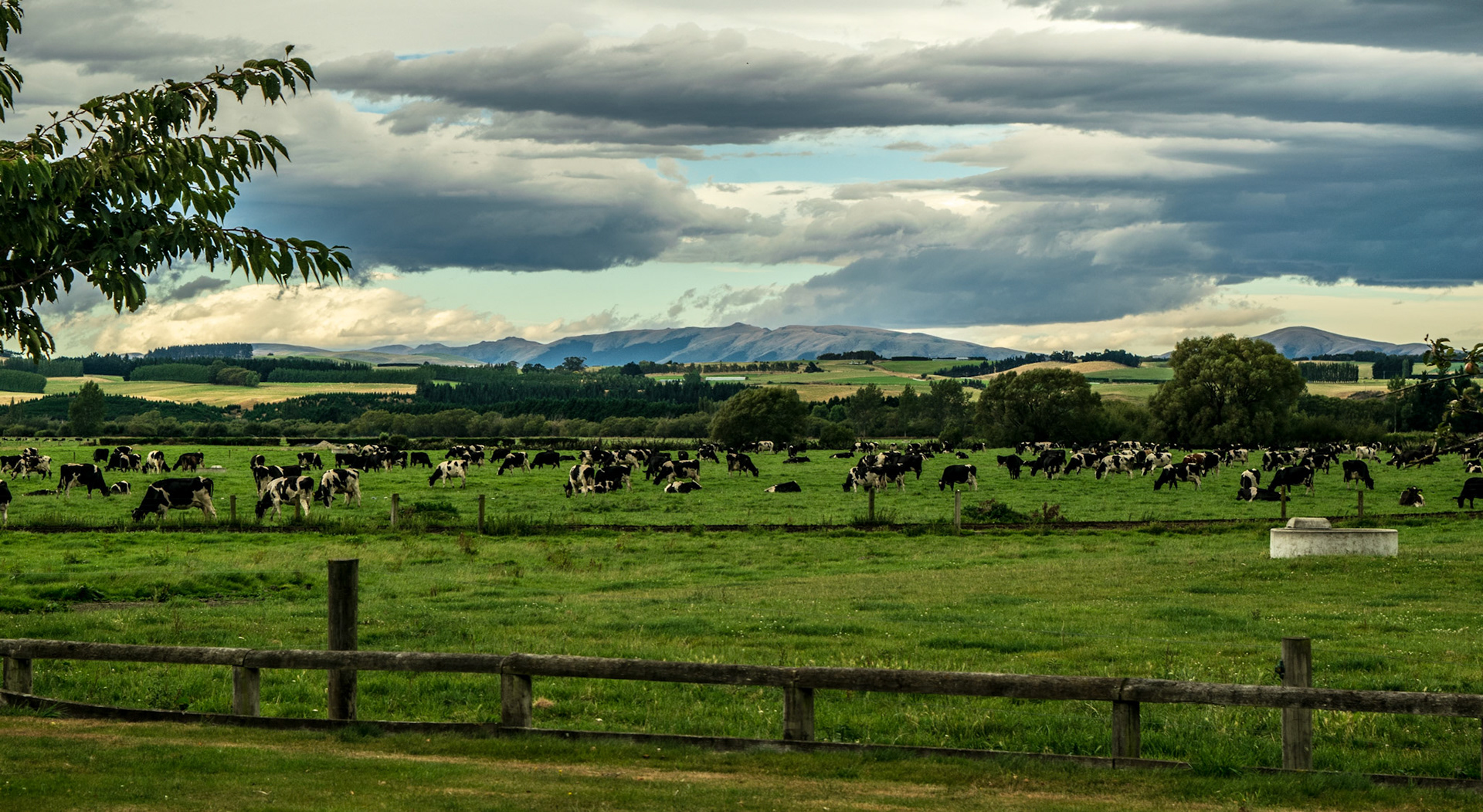 Mandeville, New Zealand