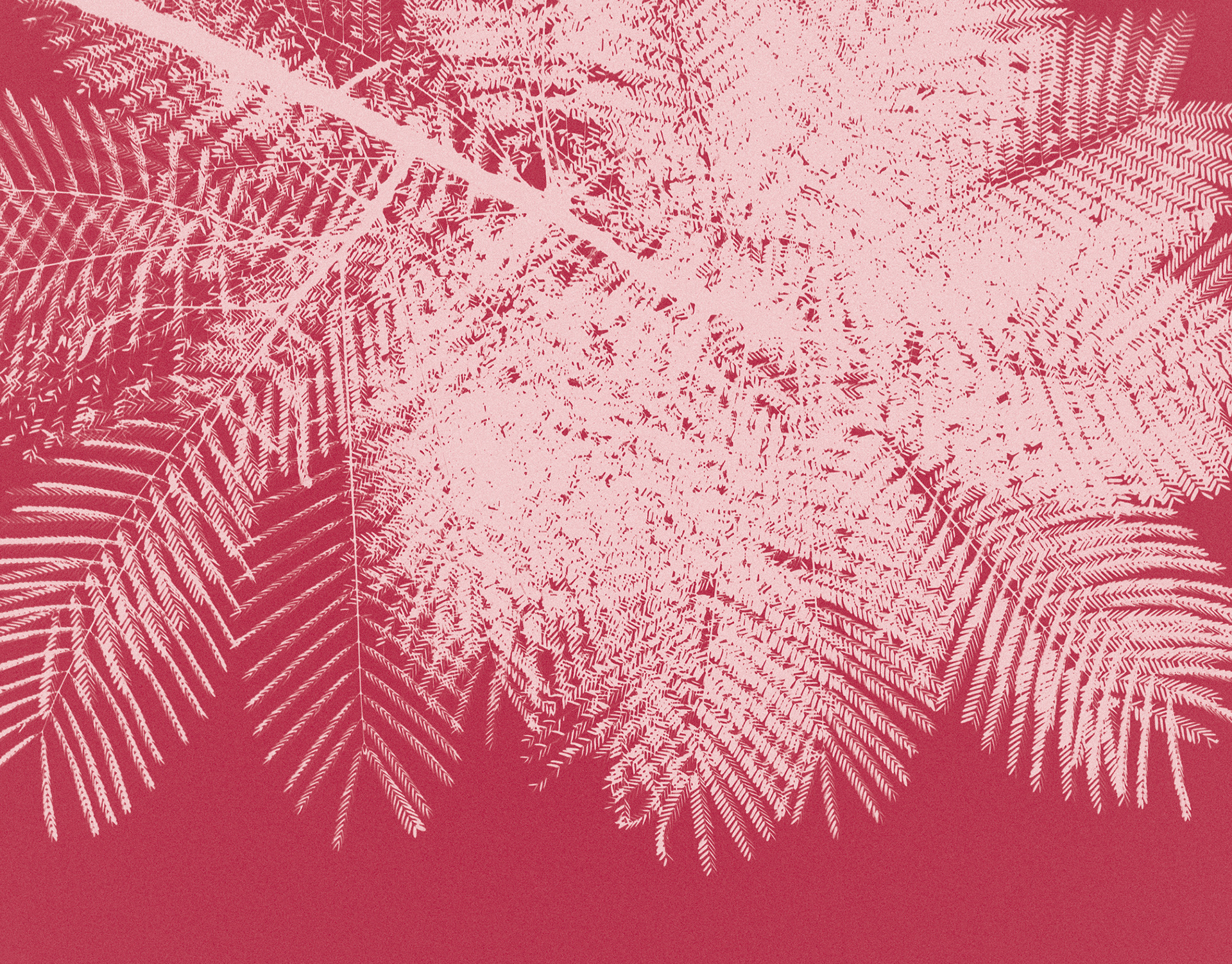 Shebam - Design Graphique - Nancy - Damien Raymond - Paul Filippi