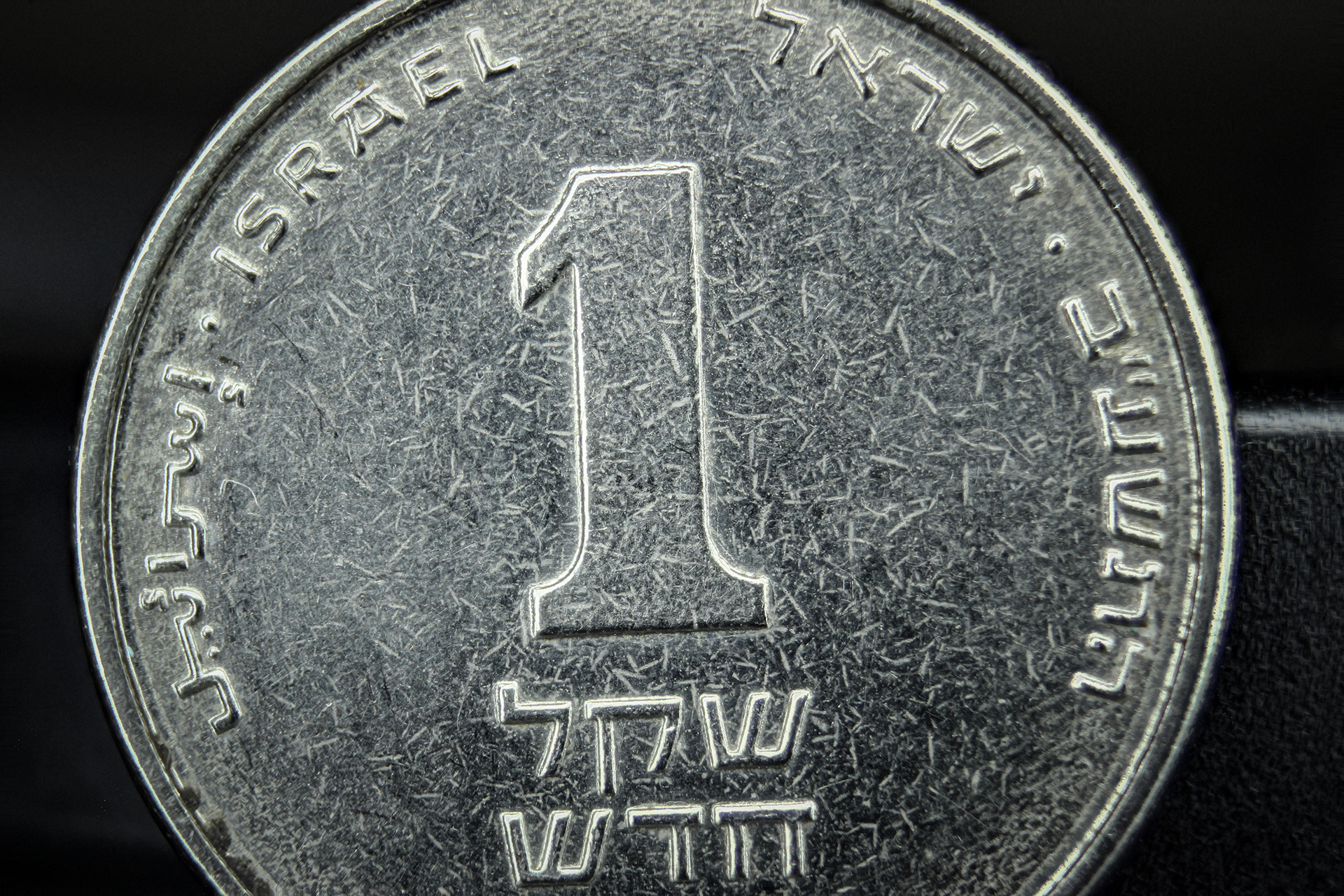 Israeli New Shekel | Focus Stacked - 30 Frames | DSLR & Extension Tube | Magnification 1:1 | Estee White Photography | 24 Nov 2019