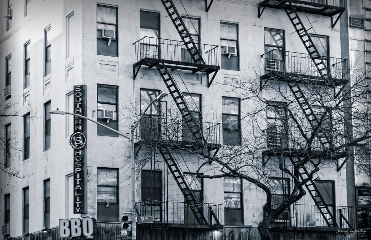 Photography by Gina Startup