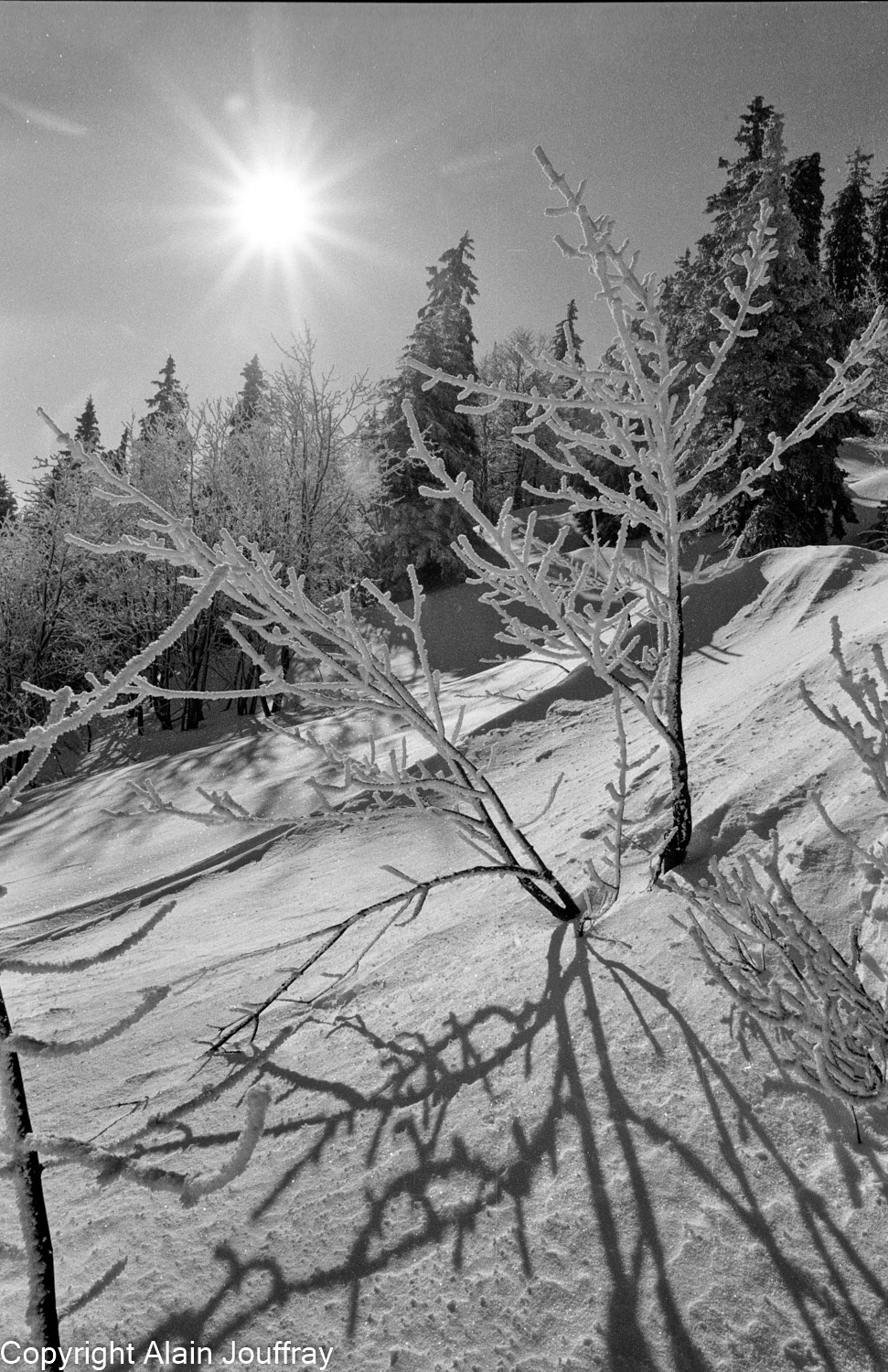 Vercors