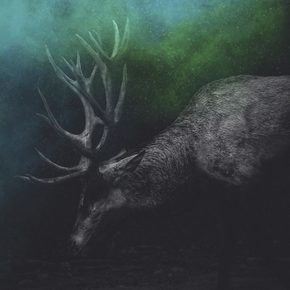Album cover art