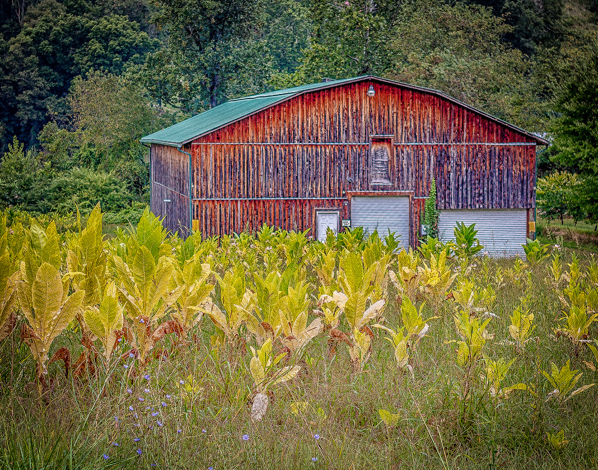 Tobacco Barn
