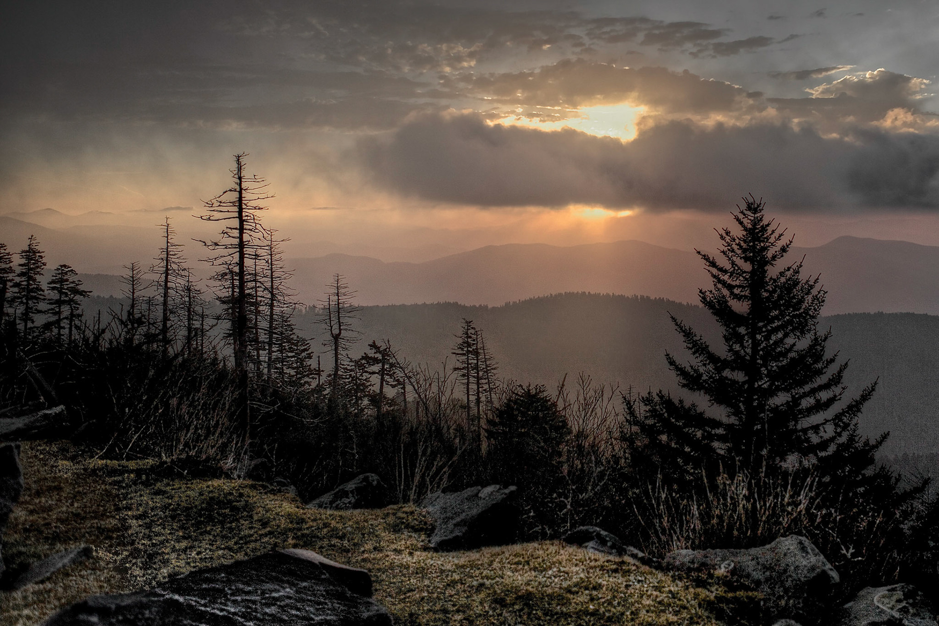 Sunrise from Clingman's Dome