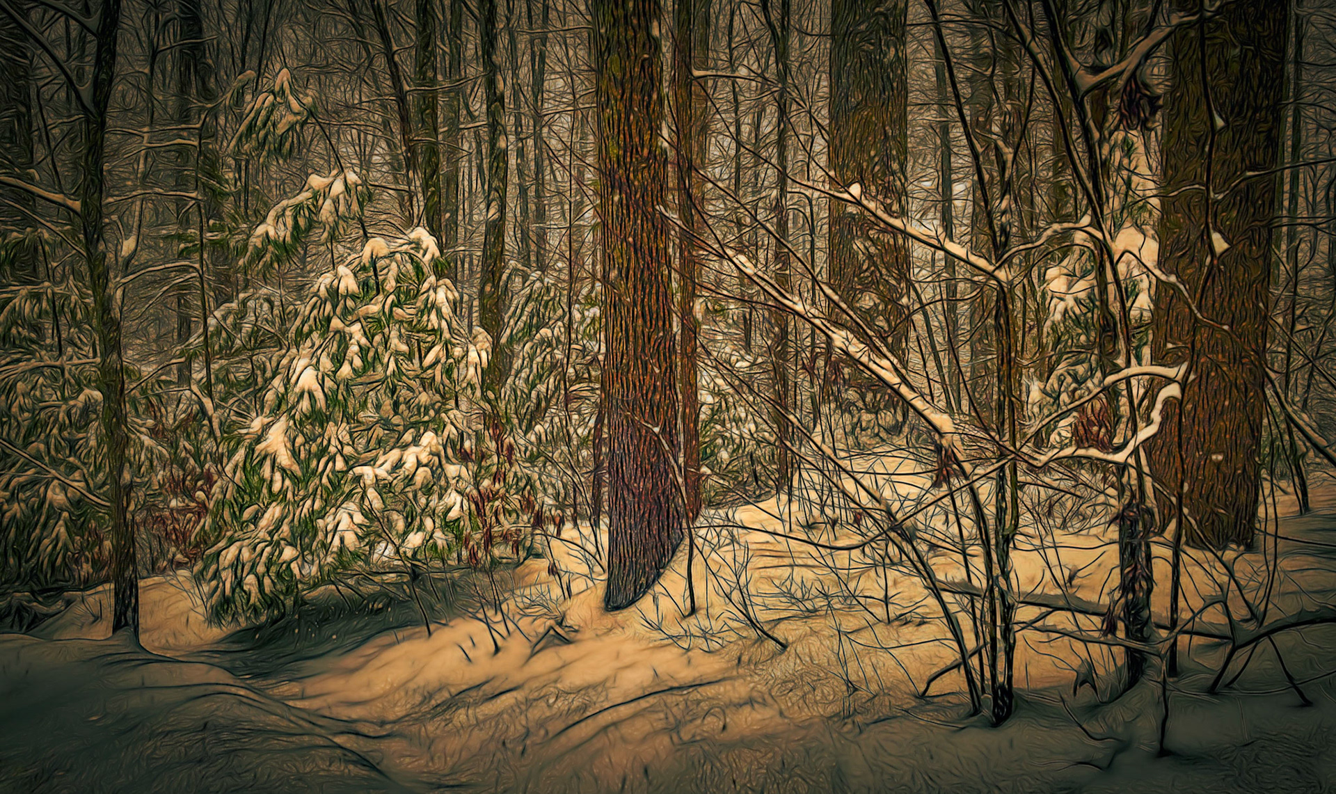 Winter Over the Fence