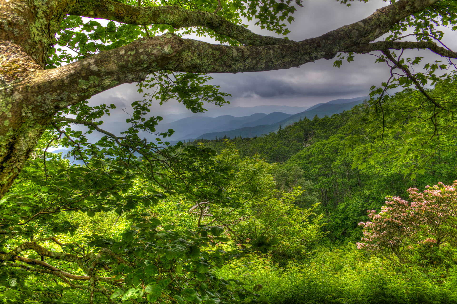 Scene from the Blue Ridge Parkway