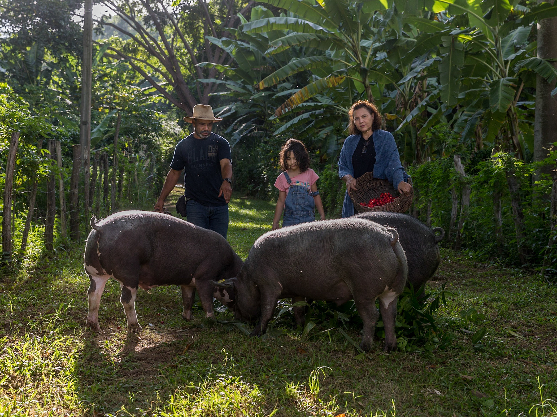 Yaguara Ecológico