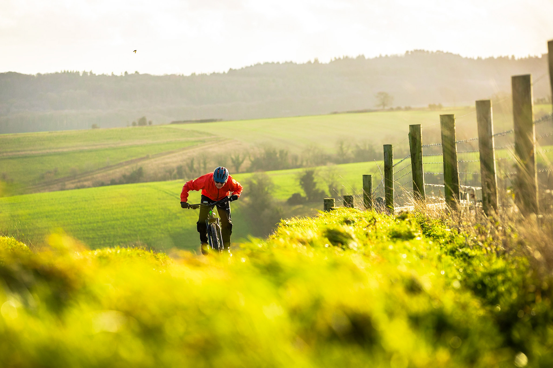 Specialized Turbo Levo Expert