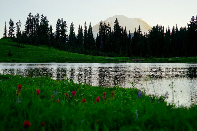 Tipsoo Lake in Mount Rainier National Park in WA