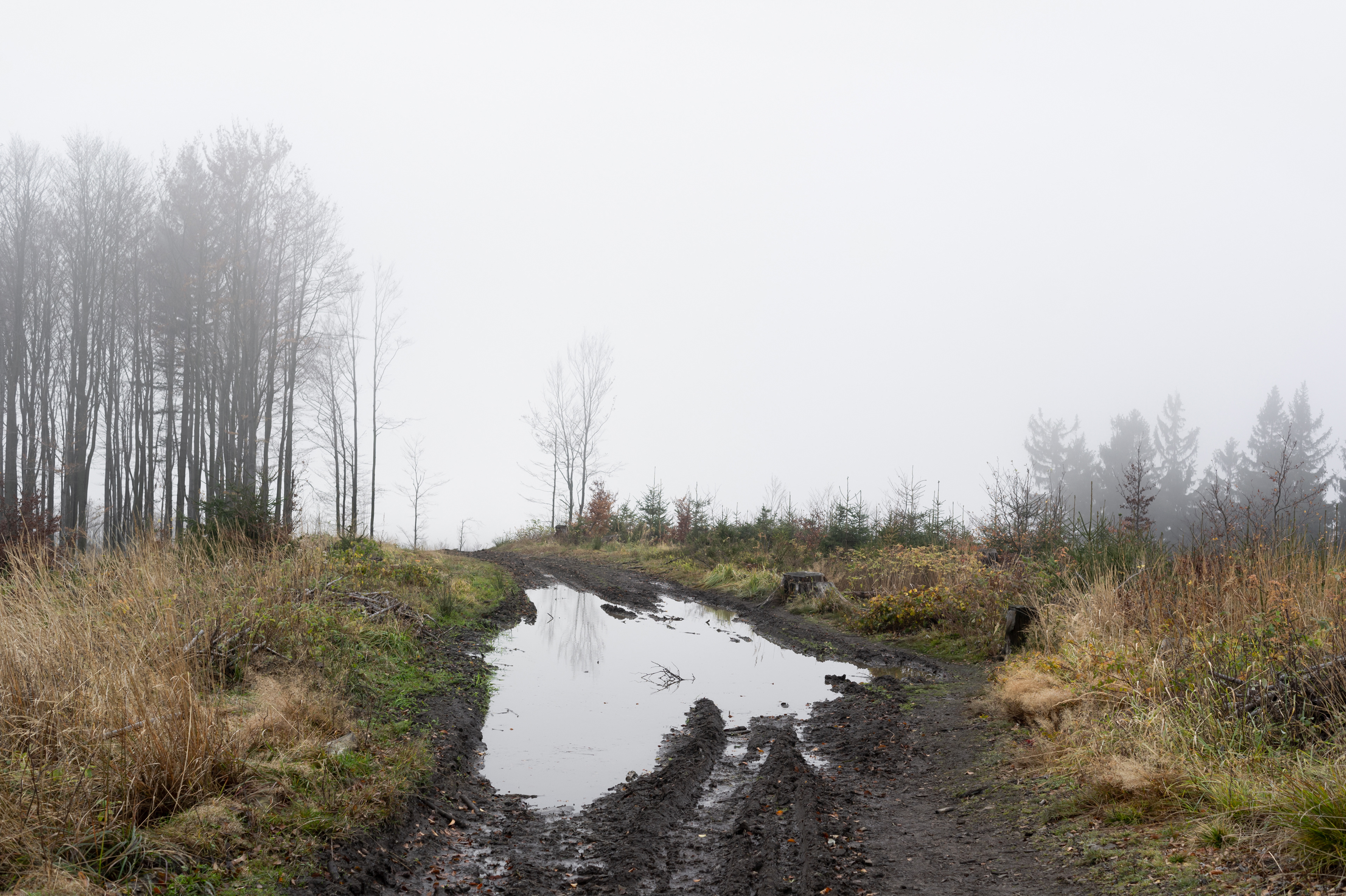 Kozubová, Beskid mountains, Czech Republic